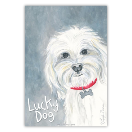 115ml Scented Envelope Sachet- Lucky Dog