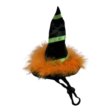 Bark & Bone Witch Hat for Pets- Orange Fur