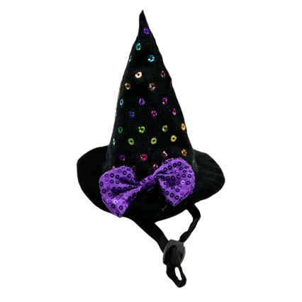 Bark & Bone Witch Hat for Pets- Purple Sequin