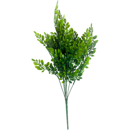 21" Hemlock Bush