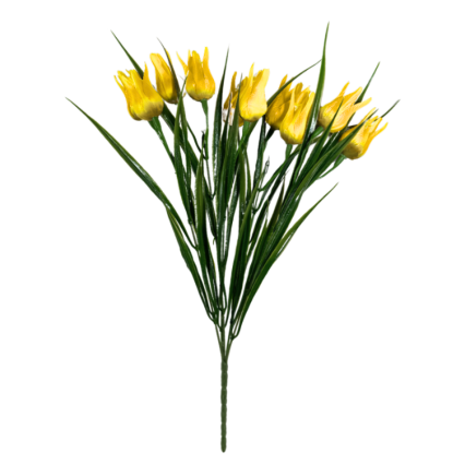 17" Miniature Wild Tulip Bush- Yellow