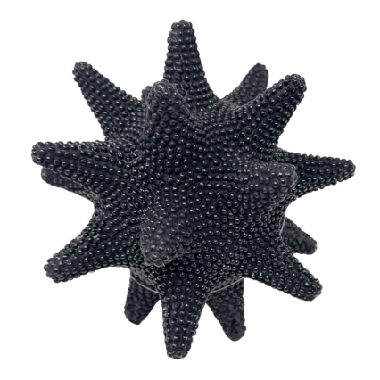 6" Beaded Sunflower Sea Star - Black