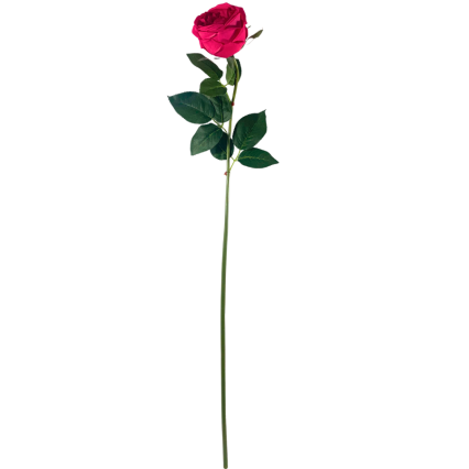 30" Cabbage Rose Stem - Hot Pink