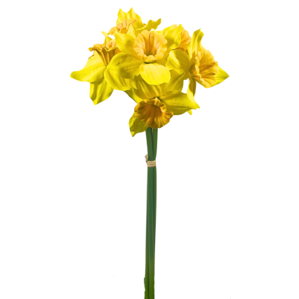 16" Daffodil Bundle - Yellow