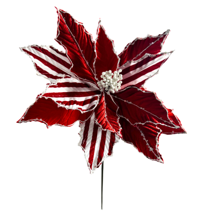 20" Red & White Striped Poinsettia
