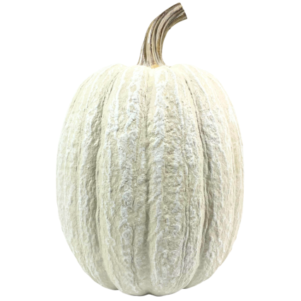 10" White Pumpkin Decor