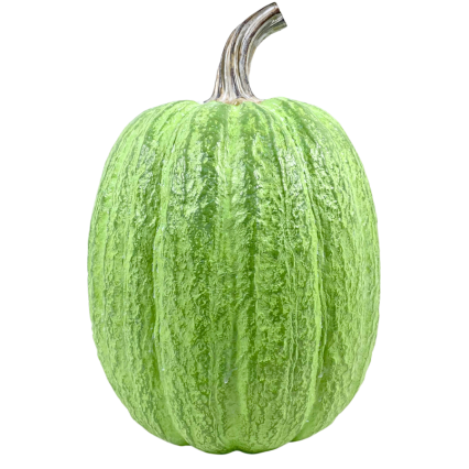 10" Green Pumpkin Decor