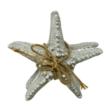 6" Starfish 2-pack- White