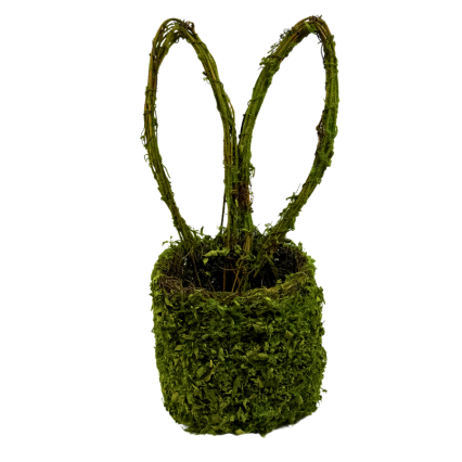 14" Moss Rabbit Ear Basket