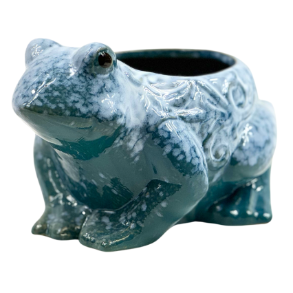 Ceramic Blue Frog Decorative Planter