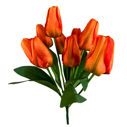 19" Tulip Bush- Orange