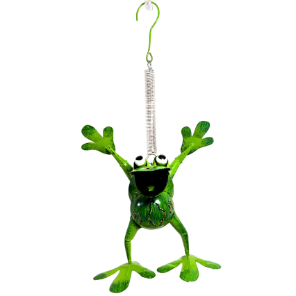 8" Bouncy Frog
