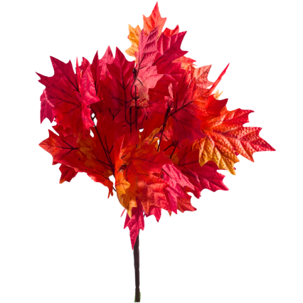 20" Orange Maple Fall Bush