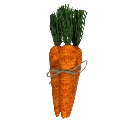 12" Carrot Bundle