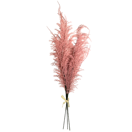 29" Phoenix Tail Fern - Pink