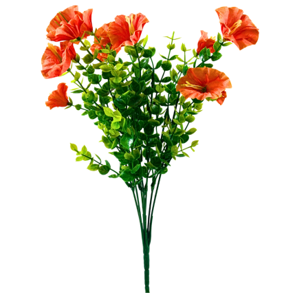 14" Mini Morning Glory Bush - Orange