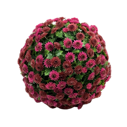 10" Lavender Mum Topiary Ball