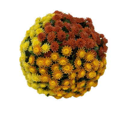12" UV Mum Topiary Ball - Orange/Yellow/Gold