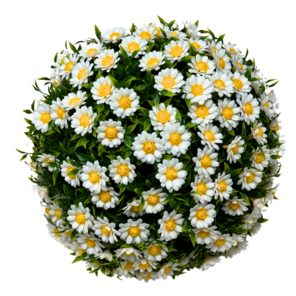 16" Daisy Boxwood Topiary Ball