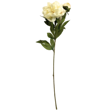 26" Dried Peony Spray - Cream