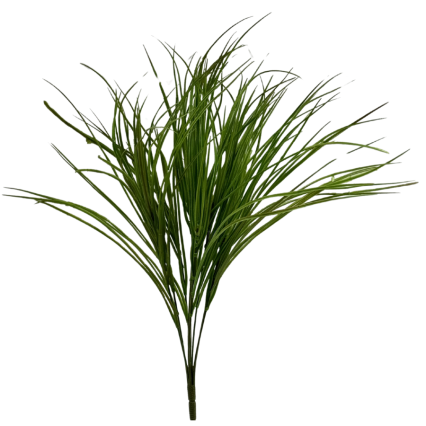 22" Ornamental Grass