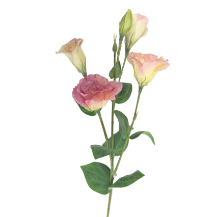 30" Lisianthus Spray- Pink