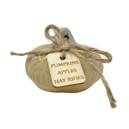 3" Ceramic Rustic Pumpkin w/ Tag - Pumpkins, Apples, Hay Rides
