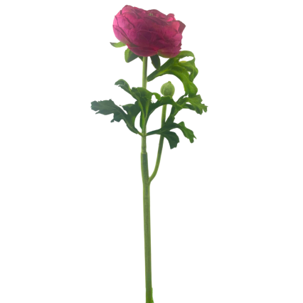 13" Ranunculus Spray - Fuchsia