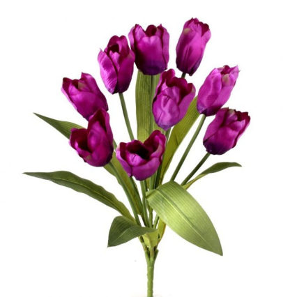 20" Tulip Bush - Purple