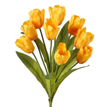 20" Tulip Bush - Yellow