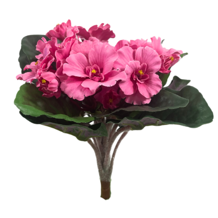 8" UV African Violet Bush - Pink