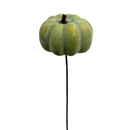 13" Weathered Pumpkin on Stem- Sage Green