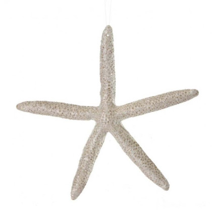 Frosted Leggy Starfish Ornament