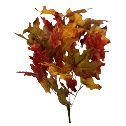 17.5" Maple Leaf Bush