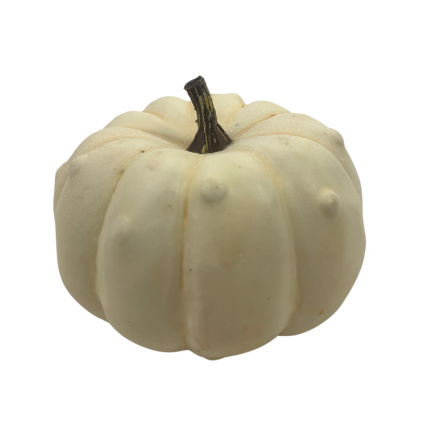 4" Cream Pumpkin