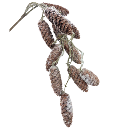 22" Snowed Pinecone Hanging Spray