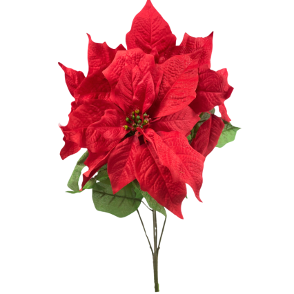 19" Red Poinsettia Bush