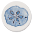 4pk Coastal Sand Dollar Coaster