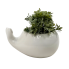 Small Whale Planter