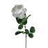 25" White Rose Spray