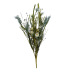 20" Blue Crab Berry Wheat Bush