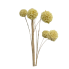 30" Snowball Allium Spray- Cream