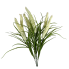 25" Foxtail Lily- White