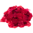 Artificial Rose Petals - Red