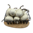 4 Style Accessory White Pumpkins