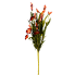 26" Gladiolus Wild Flower Bush