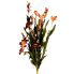 26" Gladiolus Wild Flower Bush