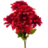 20" Ruby Red Marigold Bush