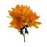 17" Dahlia Bush- Yellow/ Orange