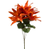 17" Burnt Orange Dahlia Bush